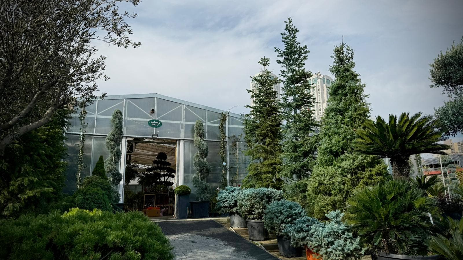 Kasaba Peyzaj arka plan