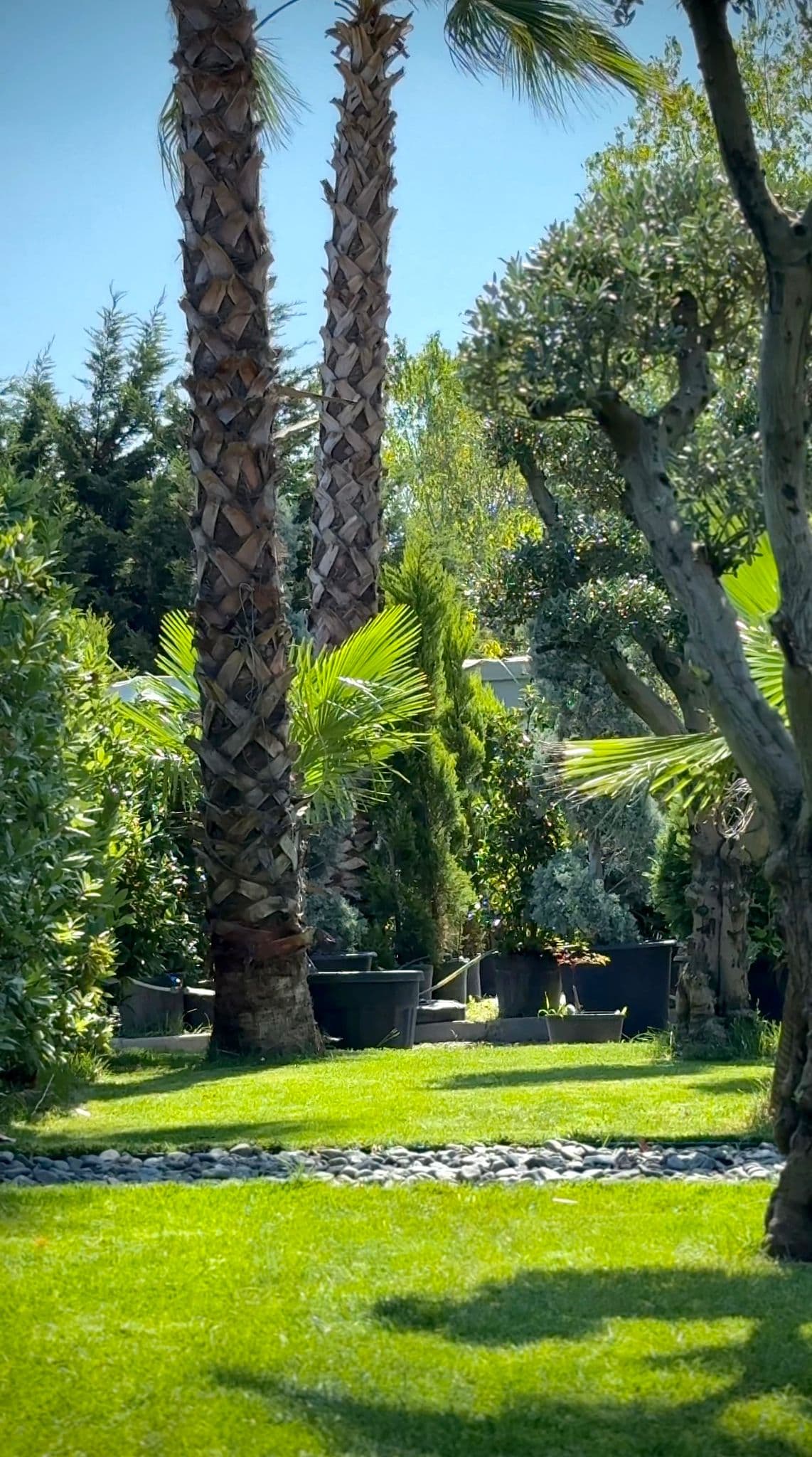 Peyzaj Uygulama ve Proje